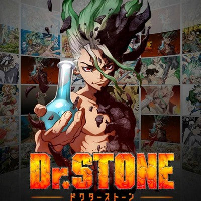 Dr. Stone